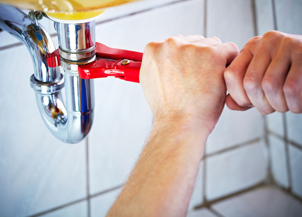 About Forest Park Plumbers